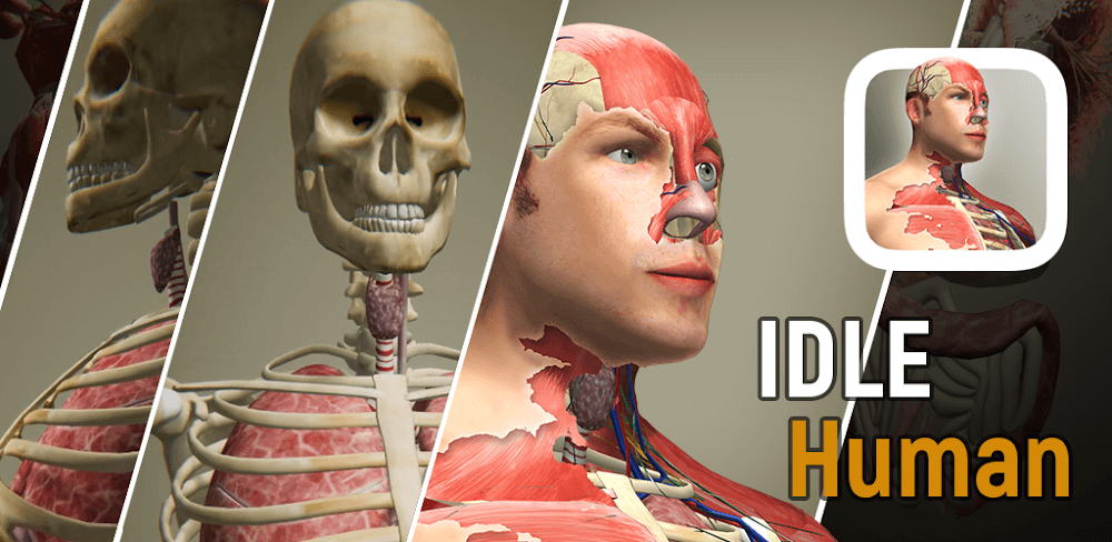 Idle Human MOD APK v1.21 (Unlimited Diamonds) Download