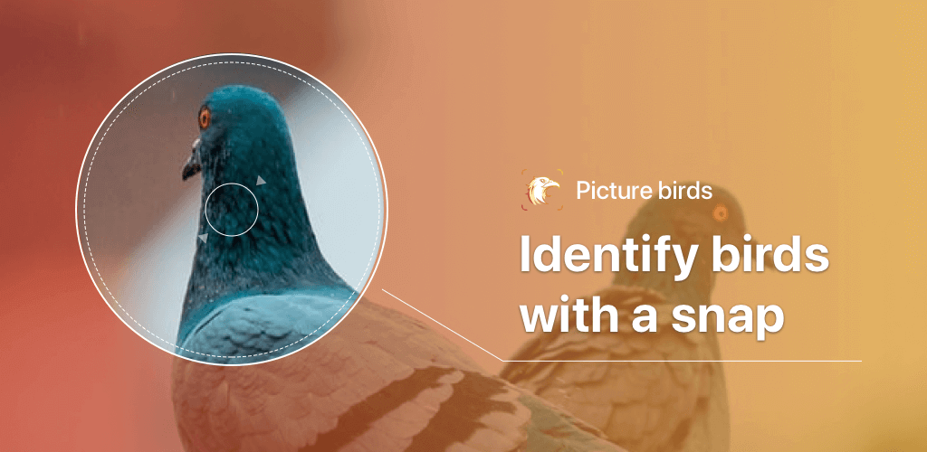 Picture Bird – Bird Identifier v2.9.29 MOD APK (Premium Unlocked) Download