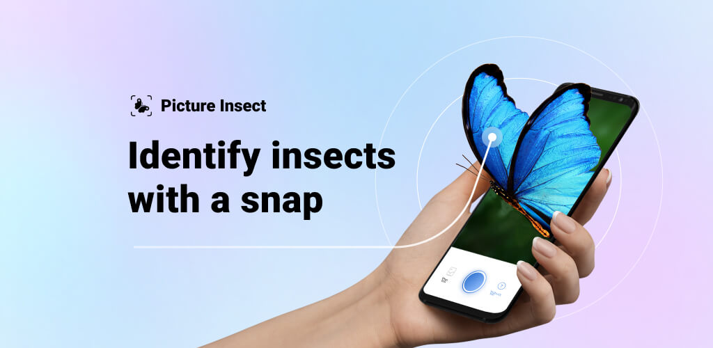 Picture Insect v2.8.32 MOD APK (Premium Unlocked) Download