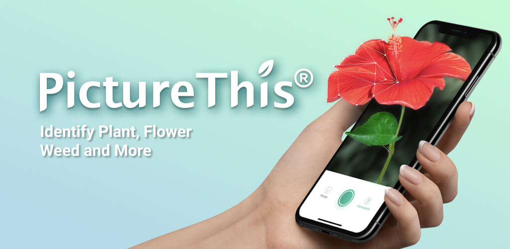 PictureThis v5.0.13 MOD APK (Premium Unlocked) Download