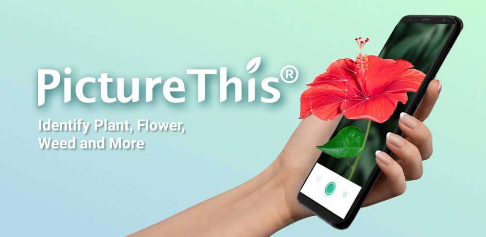 PictureThis MOD APK v5.0.13 (Premium Unlocked) Download