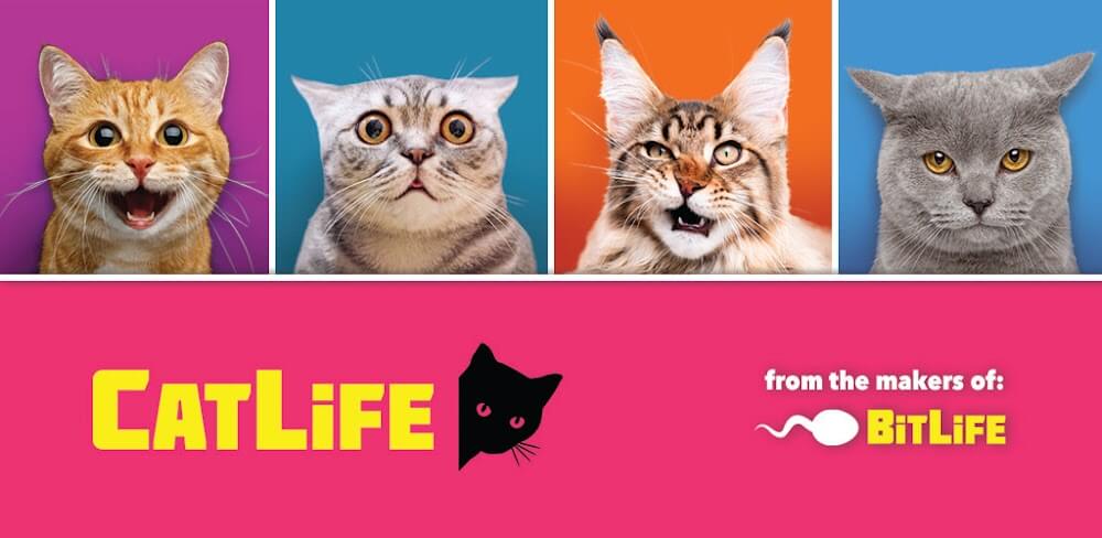 BitLife Cats v1.8.5 MOD APK (Unlocked Top Cat) Download